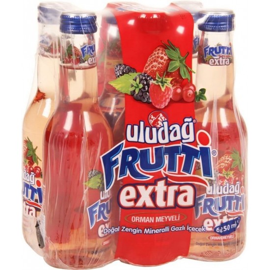 ULUDAG FURİTTİ 250ML6LI*24AD ORMAN MEYVELER ULUDAG FURİTTİ 250ML6LI*24AD ORMAN MEYVELER