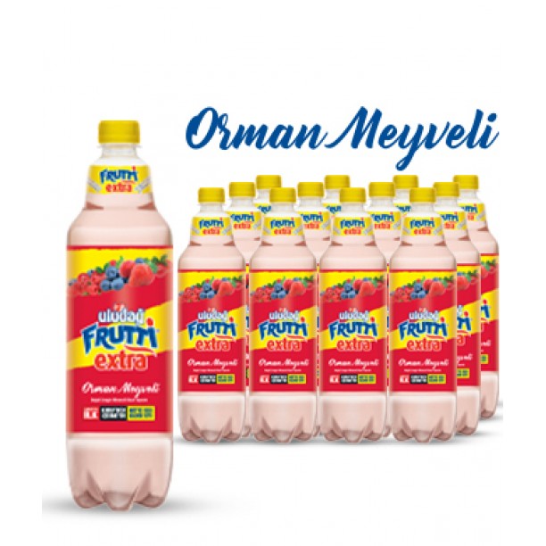 ULUDAG FRUTTİ 1LT*12AD ORMAN MEYVELER ULUDAG FRUTTİ 1LT*12AD ORMAN MEYVELER