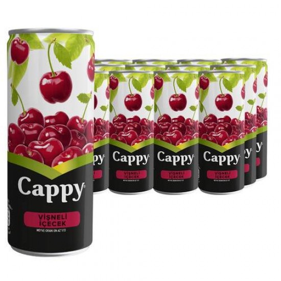 CAPPY KUTU 330ML VİŞNE 12AD CAPPY KUTU 330ML VİŞNE 12AD