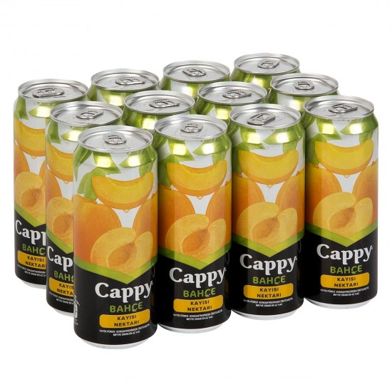 CAPPY KUTU 330ML KAYISI *12AD CAPPY KUTU 330ML KAYISI *12AD