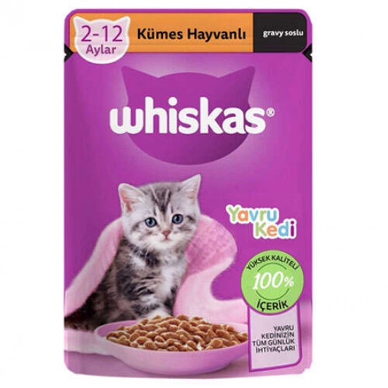 WHİSKAS KEDİ MAMASI 85GR JUNİOR WHİSKAS KEDİ MAMASI 85GR JUNİOR